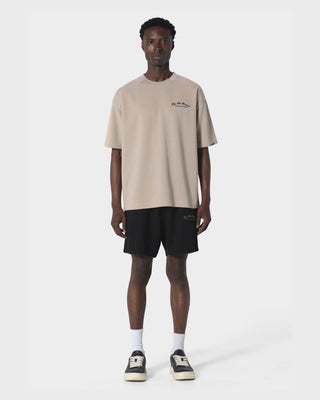 Rapidite Taupe