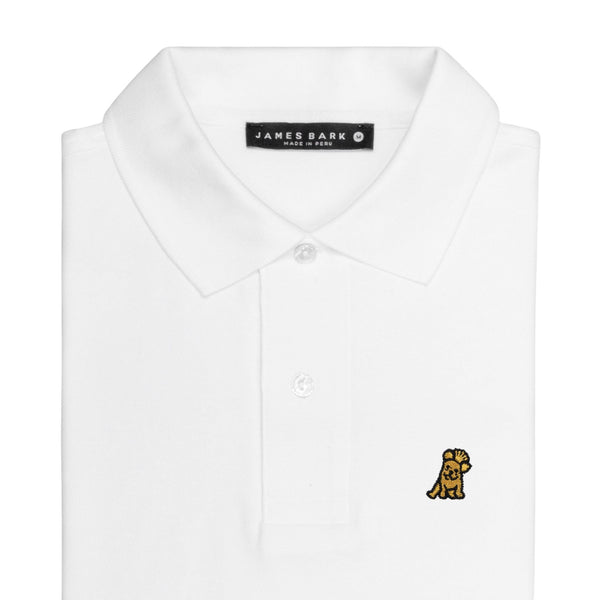 Men's Regular Fit Polo Shirt - White A36