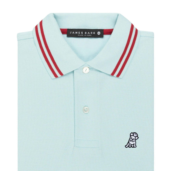 Men's Stripe Collar Polo Shirt - Blue Glow A50