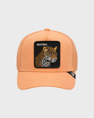 V2 PANTHER - APRICOT