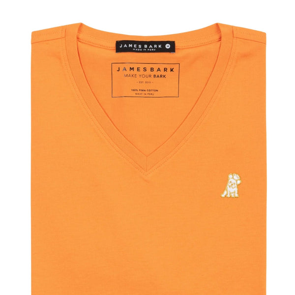 Mens V Neck Jersey T-shirt - Russet Orange A148