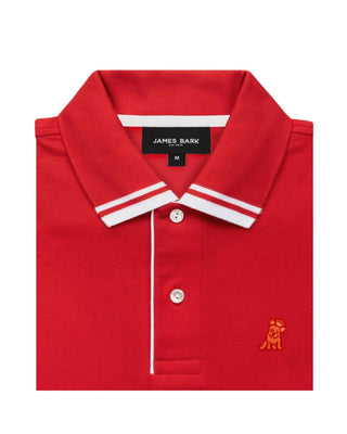 Men's Striped Accents Pique Polo Shirt - Risk Red A206