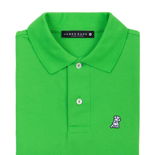 Men's Regular Fit Polo Shirt - Classic Green A50