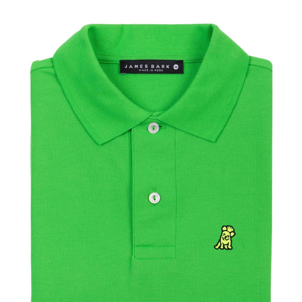Regular Fit Polo Shirt- Classic Green A89