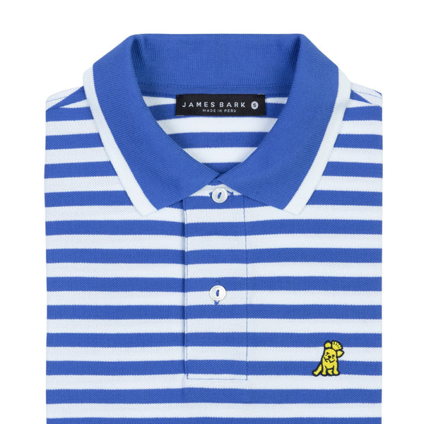 Men's Striped Polo Shirt - Dazzling Blue A110