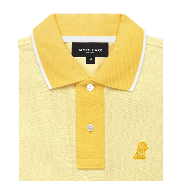 Men's Color Block Collar Polo Shirt - Lemon Meringue A208