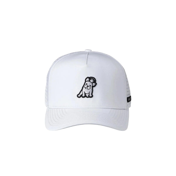 James Bark Recycle Cap - White A71