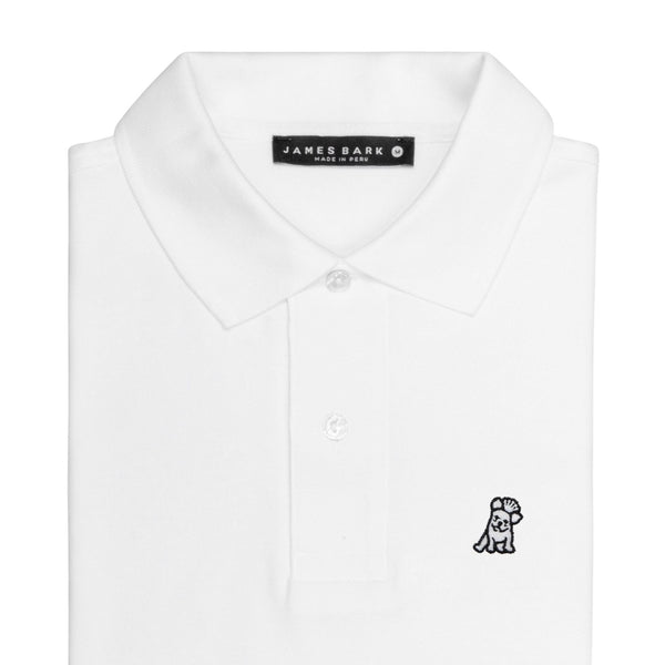 Regular Fit Polo Shirt- White A11