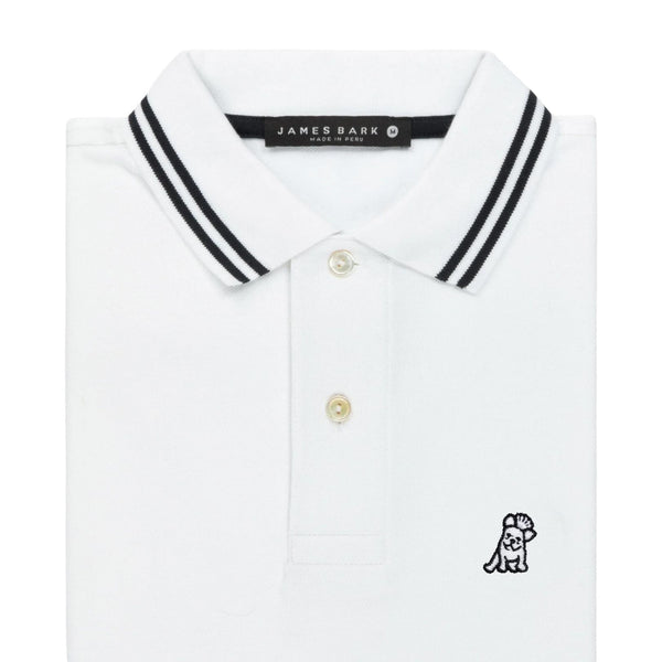 Men's Stripe Collar Polo Shirt - White A50
