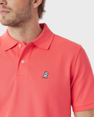 Men's Regular Fit Polo Shirt - Dubary A11