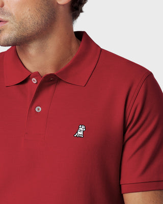 Men's Regular Fit Polo Shirt - Salsa A11