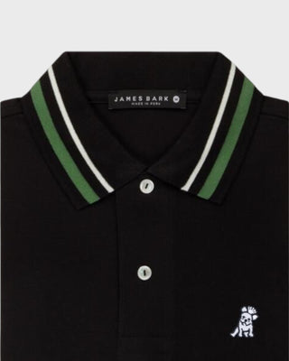 Men's Striped Accents Pique Polo Shirt - Green/Black A11
