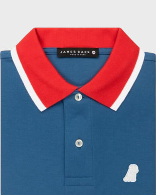 Men's Contrast Neck Polo Shirt - Vallarta Blue S11