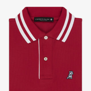 Men's Bold Stripe Collar Polo Shirt - Chilli Pepper A11