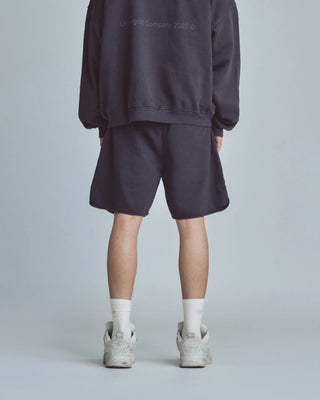 Stardust Biased Symbol Shorts - Vintage Gray