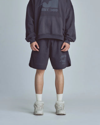 Stardust Biased Symbol Shorts - Vintage Gray