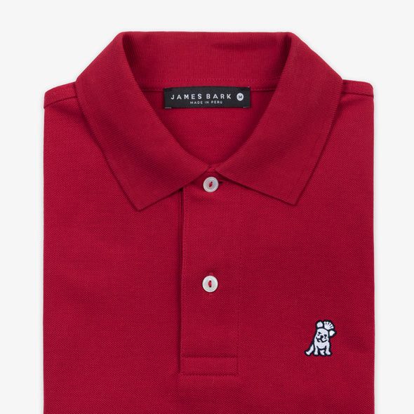Men's Regular Fit Polo Shirt - Chilli Pepper A11