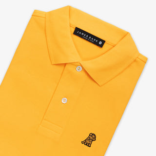 Men's Regular Fit Polo Shirt - Citrus A164