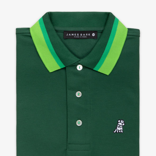 Men's Striped Collar And Sides Polo Shirt - Eden A50